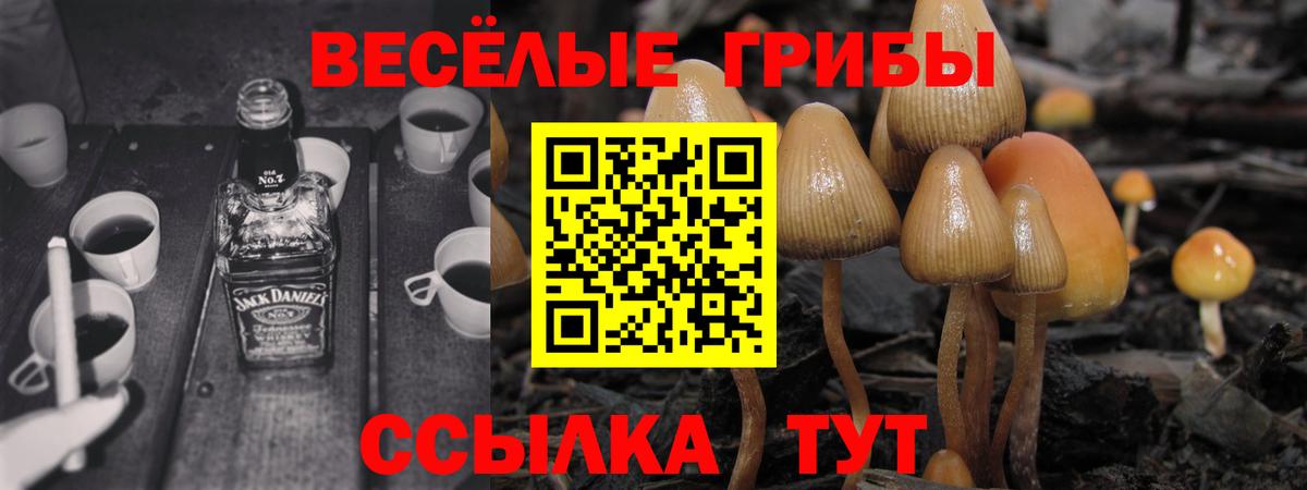 Псилоцибиновые грибы прущие грибы Тавда
